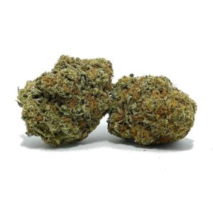 Buy Amnesia Haze Strain Online