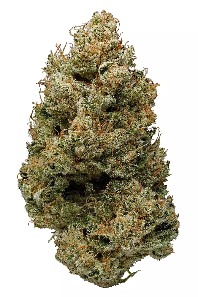 Buy Banana Kush Online
