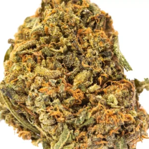 Buy Blue Cheese strain Online