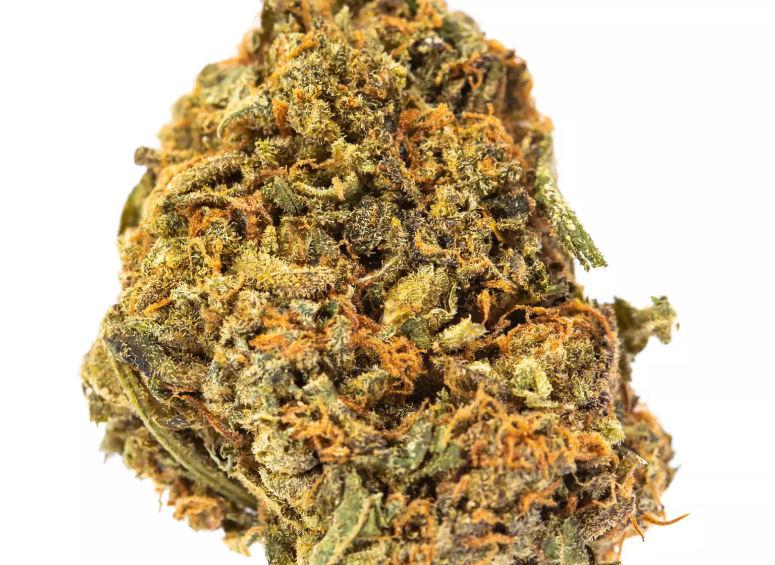 Buy Blue Cheese strain Online