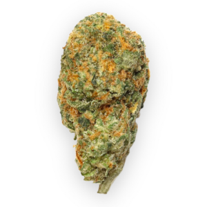 Buy Britscotti Online