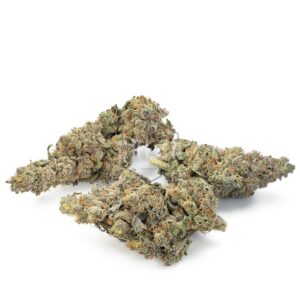 Buy Candyland Stain Online