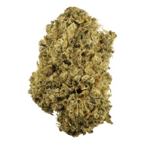 Buy Durban Poison Strain Online