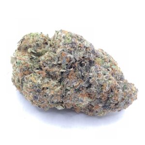 Buy Guava Strain Online
