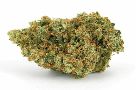 Buy Jack Herer Strain Online