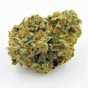 Buy Kosher Kush Strain Online