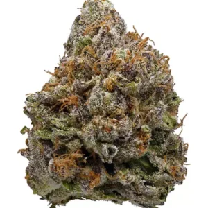 Buy Lavender Kush Strain Online