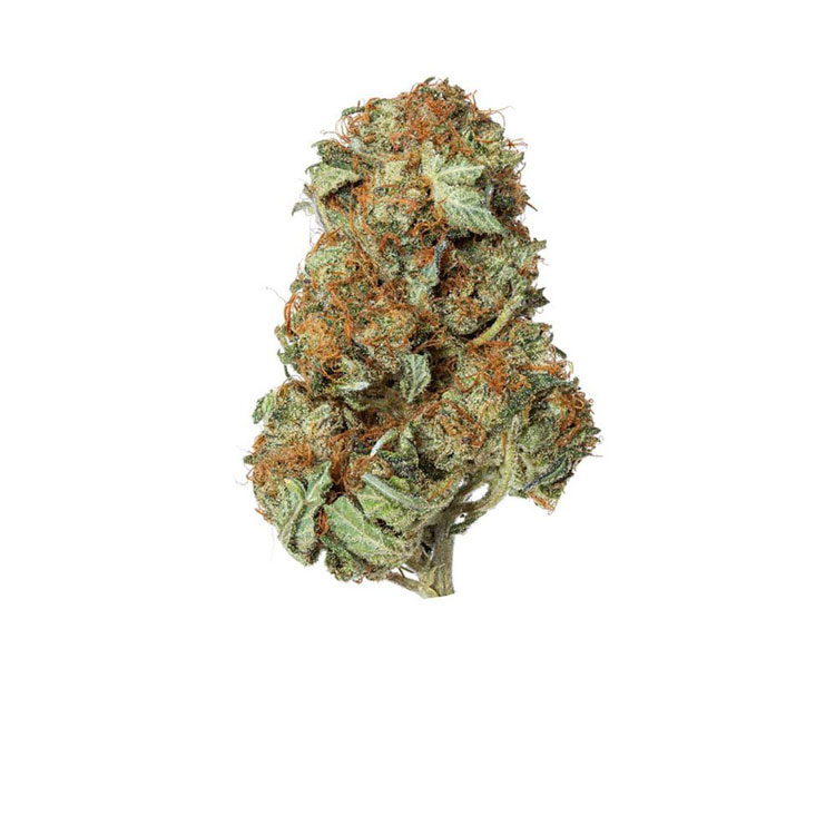 Buy MK Ultra Strain Online