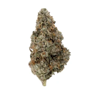 Buy Master Kush Strain Online