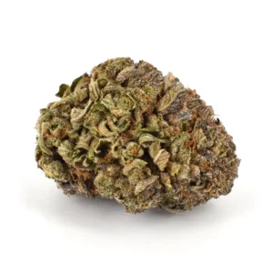  Buy Purple Urkle Strain Online