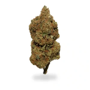 Buy White Rhino Strain Online