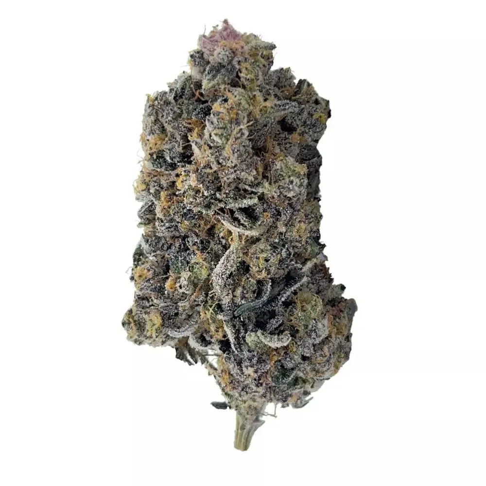Buy Tropicana Cookies Strain Online
