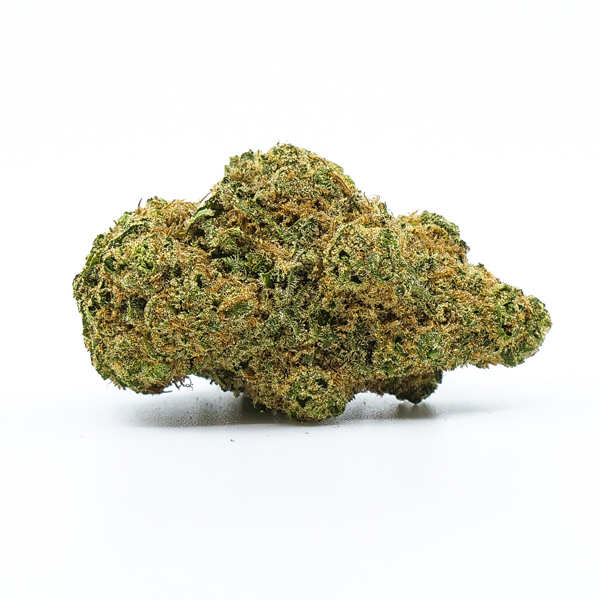 Buy White Widow Strain Online