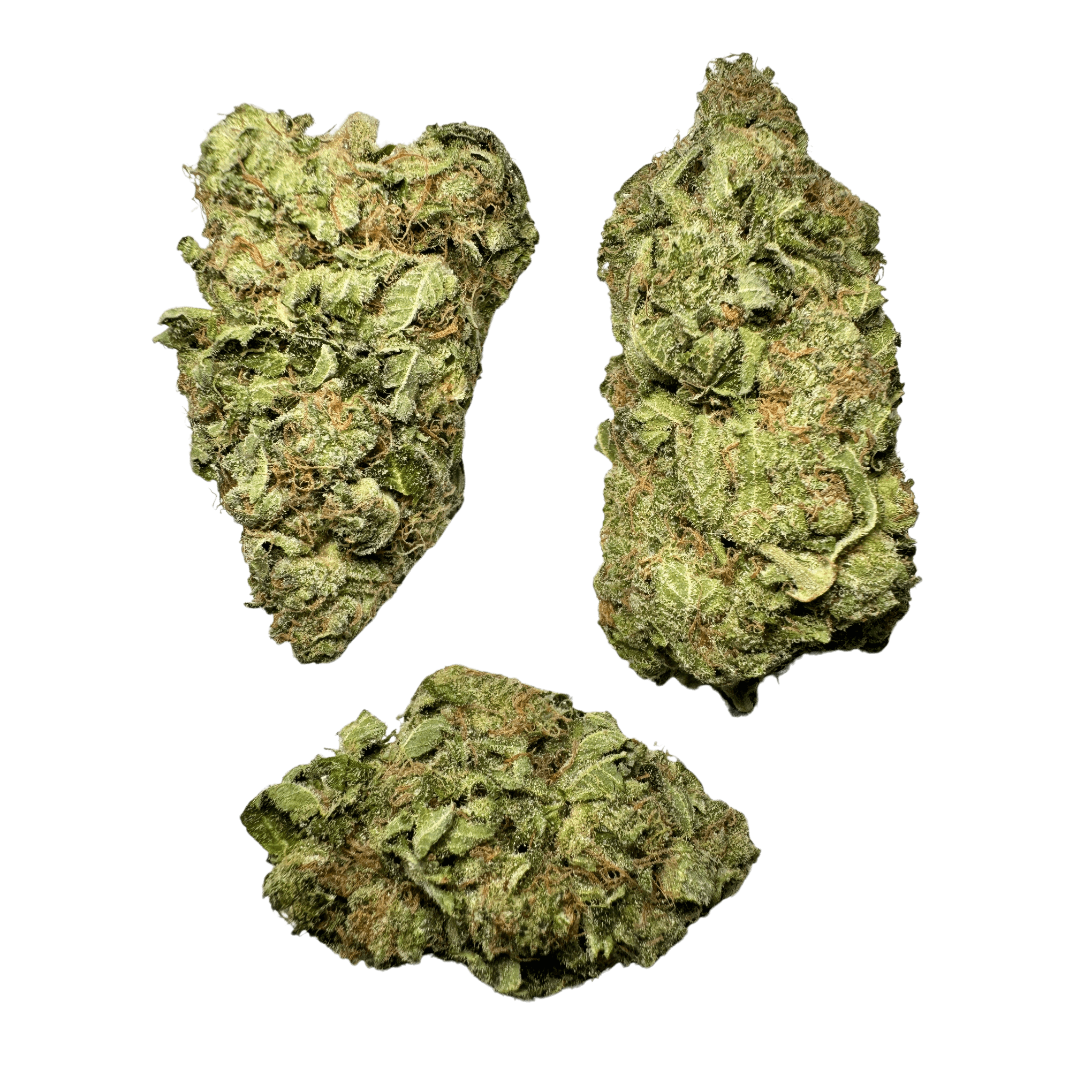 Trainwreck - Image 2